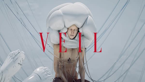 Veil